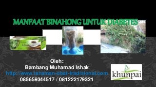 MANFAAT BINAHONG UNTUK DIABETES 
Oleh: 
Bambang Muhamad Ishak 
http://www.tanaman-obat-tradisional.com 
085659344517 / 081222179321 
 