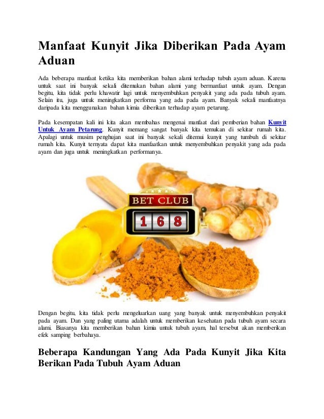 Manfaat Kunyit Jika Diberikan Pada Ayam Aduan Manfaat Kunyit Jika Diberikan Pada Ayam Aduan