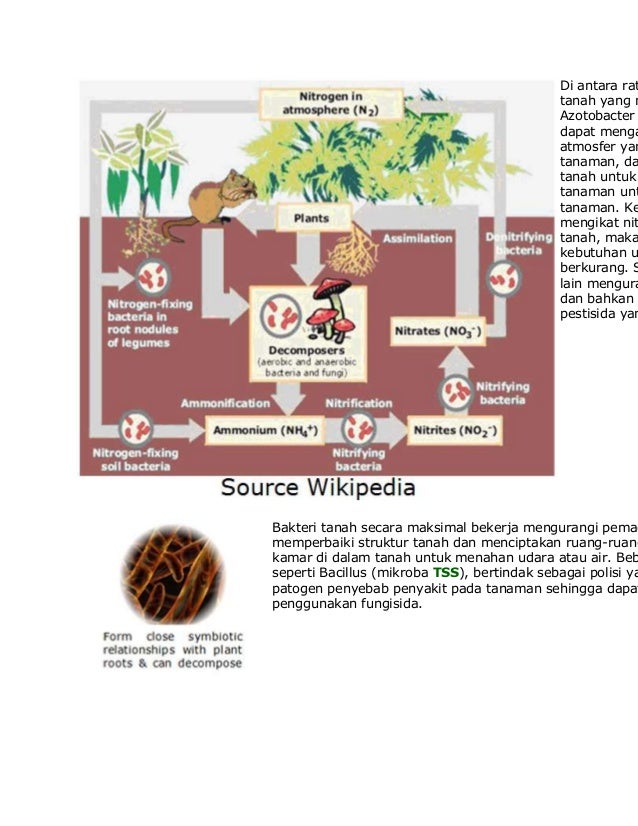 Manfaat mikroorganisme 1