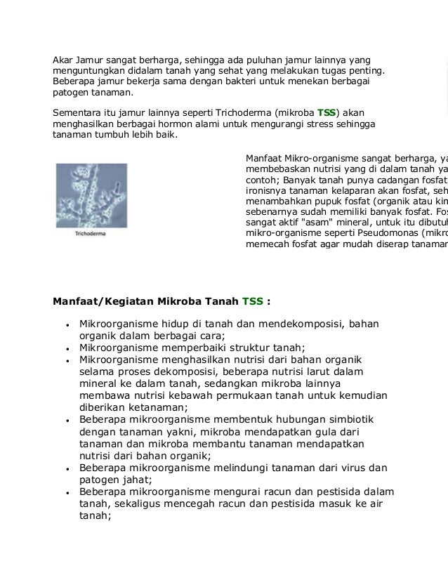 Manfaat mikroorganisme 1