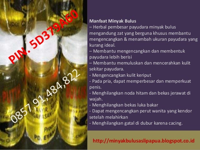 manfaat minyak bulus putih untuk jerawat manfaat dari manfaat minyak bulus putih untuk jerawat manfaat dari