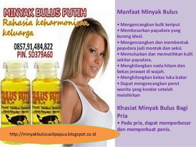 manfaat minyak dari bulus putih minyak bulus putih untuk manfaat minyak dari bulus putih minyak bulus putih untuk