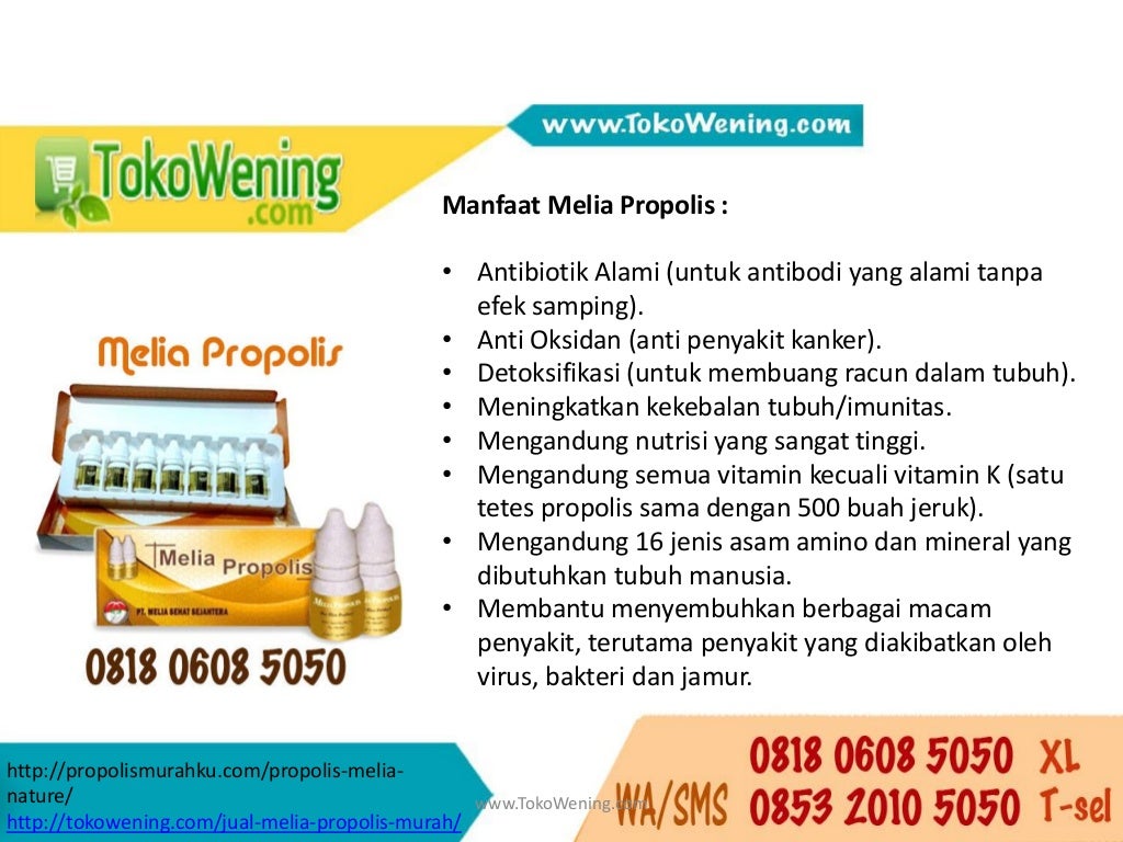 0818 0608 5050 Manfaat propolis melia untuk kulit