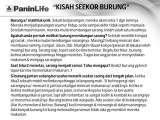 “KISAH SEEKOR BURUNG”
Burung a/ makhluk unik. Sekali berpasangan, mereka akan setia 1 dgn lainnya.
Mereka menjadi pasangan seumur hidup, setia sampai akhir tidak seperti manusia.
Setelah musim kawin, mereka mulai membangun sarang. Inilah salah satu kisahnya.
Apakah anda pernah melihat burung membangun sarang? Setelah memilih tempat
yg cocok , mereka mulai membangun sarangnya. Masing2 terbang mencari dan
membawa ranting, rumput, daun, dsb. Mungkin ribuan kali perjalanan di lakukan oleh
masing2 burung. Sarang siap, tepat saat betina bertelur. Begitu bertelur, burung
betina akan mengeraminya hingga menetas. Tugas burung jantan a/ menyediakan
makanan & menjaga sarangnya.
Saat telur2 menetas, sarang menjadi ramai. Tahu mengapa? Anak2 burung yg kecil
lapar karena memerlukan makanan..!
Si burung jantan sedang berusaha menarik seekor cacing dari tengah jalan, ketika
tiba2 sebuah mobil melindasnya hingga ia langsung mati. Si betina pergi dari
sarangnya u/ mencari si jantan sekaligus mencari makanan u/ anak2nya. Ketika si
betina melihat jantannya di atas jalan, ia menariknya ke tepian. Ia berusaha
membangunkan si jantan, tapi sdh terlambat. Ia sangat sedih & kembali ke sarangnya
u/ menemui anak2nya. Burung betina tdk waspada. Ada seekor ular di belakangnya.
Ular itu menelan si betina. Burung2 kecil menangis & menangis di dalam sarangnya.
Ada banyak burung terbang melewatinya namun tidak ada yg memberi mereka
makanan.
 