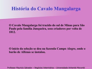 História do Cavalo Mangalarga O Cavalo Mangalarga foi trazido do sul de Minas para São Paulo pela família Junqueira, seus criadores por volta de 1812.  O início da seleção se deu na fazenda Campo Alegre, onde o barão de Alfenas se instalou. 