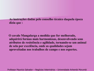 As instruções dadas pelo conselho técnico daquela época dizia que : O cavalo Mangalarga a medida que for melhorado, adquirirá formas mais harmoniosas, desenvolvendo seus atributos de resistência e agilidade, tornando-se um animal de sela por excelência, onde as qualidades sejam aproveitadas nos trabalhos de campo e nos esportes. 