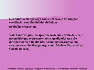 Definimos o mangalarga como um cavalo de sela por excelência, com finalidades definidas  (trabalho e esporte); Vale lembrar que,  na apreciação de um cavalo de sela, é necessário que se procure tantas qualidades que são indispensáveis à finalidade. Assim, nos baseamos em chamar o cavalo Mangalarga como Modelo Universal do Cavalo de sela. 