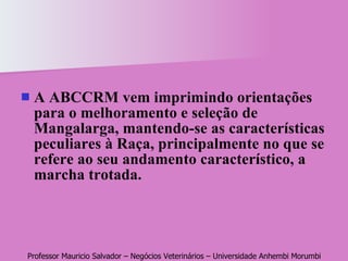 A ABCCRM vem imprimindo orientações para o melhoramento e seleção de Mangalarga, mantendo-se as características peculiares à Raça, principalmente no que se refere ao seu andamento característico, a marcha trotada. 