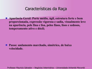 Características da Raça Aparência Geral: Porte médio, ágil, estrutura forte e bem proporcionada, expressão vigorosa e sadia, visualmente leve na aparência, pele fina e lisa, pelos finos, lisos e sedosos, temperamento ativo e dócil; Passo: andamento marchado, simétrico, de baixa velocidade. 