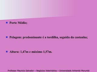 Porte Médio; Pelagem: predominante é a tordilha, seguida da castanha; Altura: 1,47m e máximo 1,57m. 