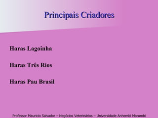 Principais Criadores Haras Lagoinha Haras Três Rios Haras Pau Brasil 