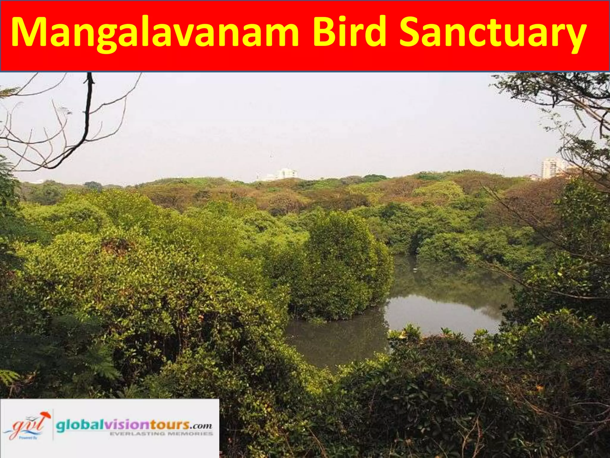 Mangalavanam Bird Sanctuary
