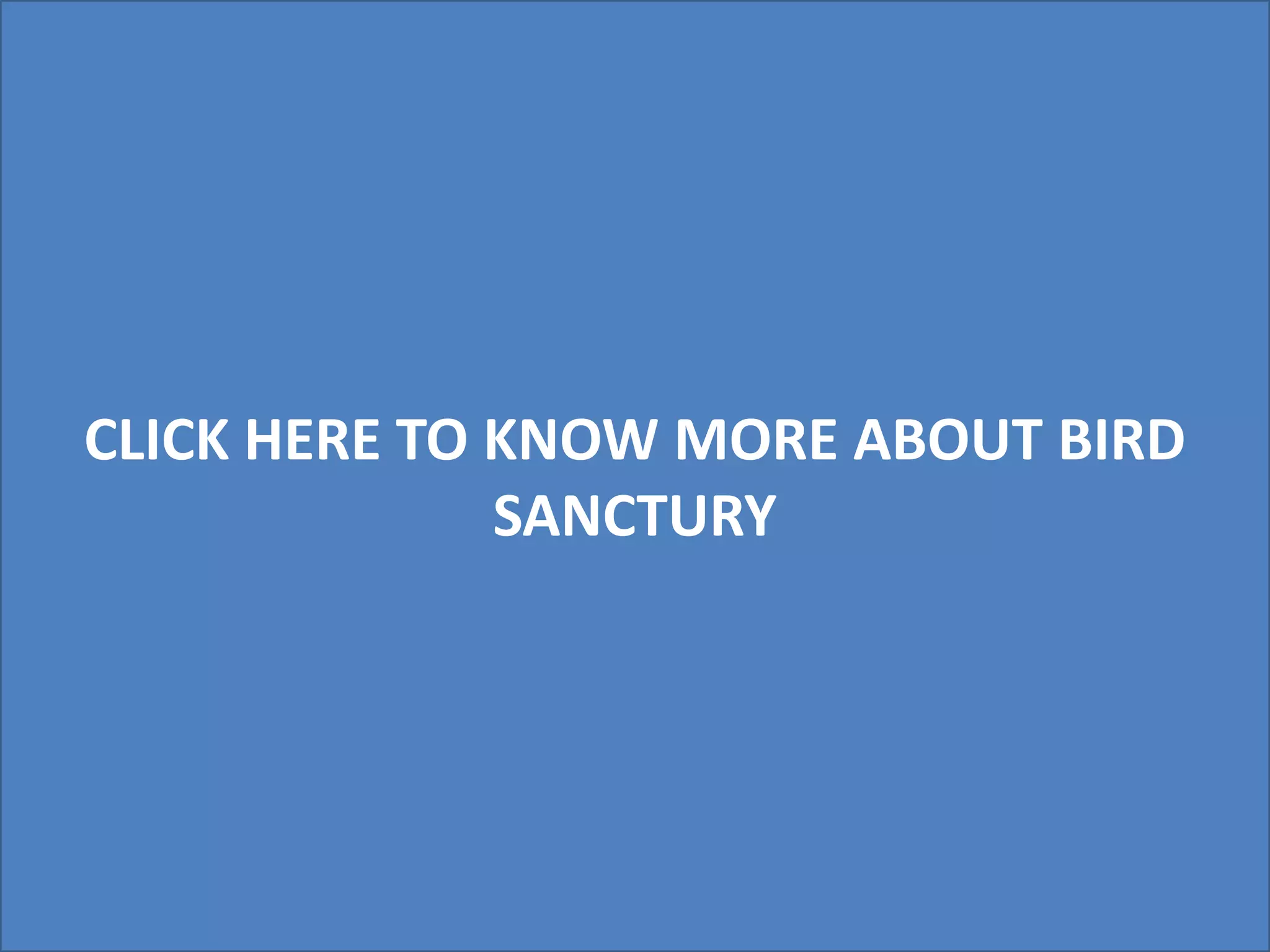 CLICK HERE TO KNOW MORE ABOUT BIRD
SANCTURY
