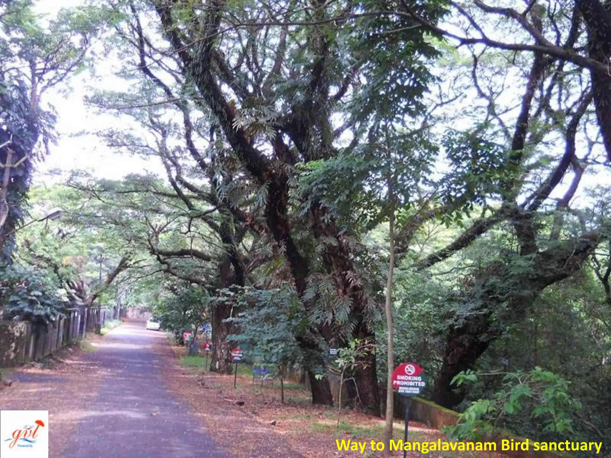 Way to Mangalavanam Bird sanctuary
