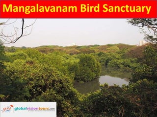 Mangalavanam Bird Sanctuary

 