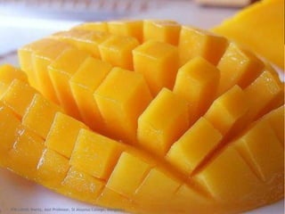 JFM Lohith Shetty, Asst Professor, St Aloysius College, Mangalore
 