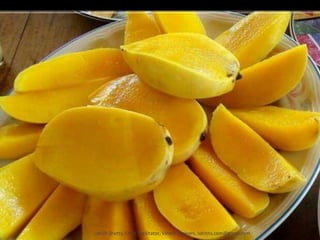 Lohith Shetty, Chief Facilitator, VinetR Trainers, lohiths.com@gmail.com
 