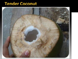 Tender Coconut
Lohith Shetty, Chief Facilitator, VinetR Trainers, lohiths.com@gmail.com
 
