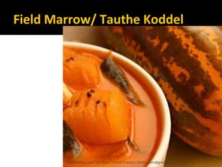 Field Marrow/ Tauthe Koddel
Lohith Shetty, Chief Facilitator, VinetR Trainers, lohiths.com@gmail.com
 