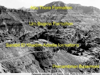 Abu Thora Formation
Um Bogma Formation
Sarabit El Khadim-Adedia formations
Precambrian Basement
8
 