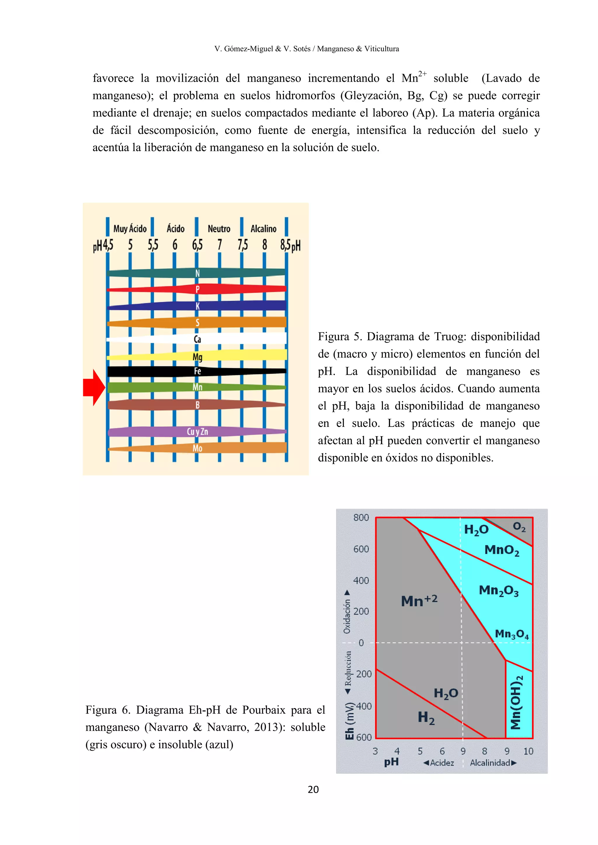 V. Gómez-Miguel & V. Sotés / Manganeso & Viticultura
20
favorece la movilización del manganeso incrementando el Mn2+
soluble (Lavado de
manganeso); el problema en suelos hidromorfos (Gleyzación, Bg, Cg) se puede corregir
mediante el drenaje; en suelos compactados mediante el laboreo (Ap). La materia orgánica
de fácil descomposición, como fuente de energía, intensifica la reducción del suelo y
acentúa la liberación de manganeso en la solución de suelo.
Figura 5. Diagrama de Truog: disponibilidad
de (macro y micro) elementos en función del
pH. La disponibilidad de manganeso es
mayor en los suelos ácidos. Cuando aumenta
el pH, baja la disponibilidad de manganeso
en el suelo. Las prácticas de manejo que
afectan al pH pueden convertir el manganeso
disponible en óxidos no disponibles.
Figura 6. Diagrama Eh-pH de Pourbaix para el
manganeso (Navarro & Navarro, 2013): soluble
(gris oscuro) e insoluble (azul)
 