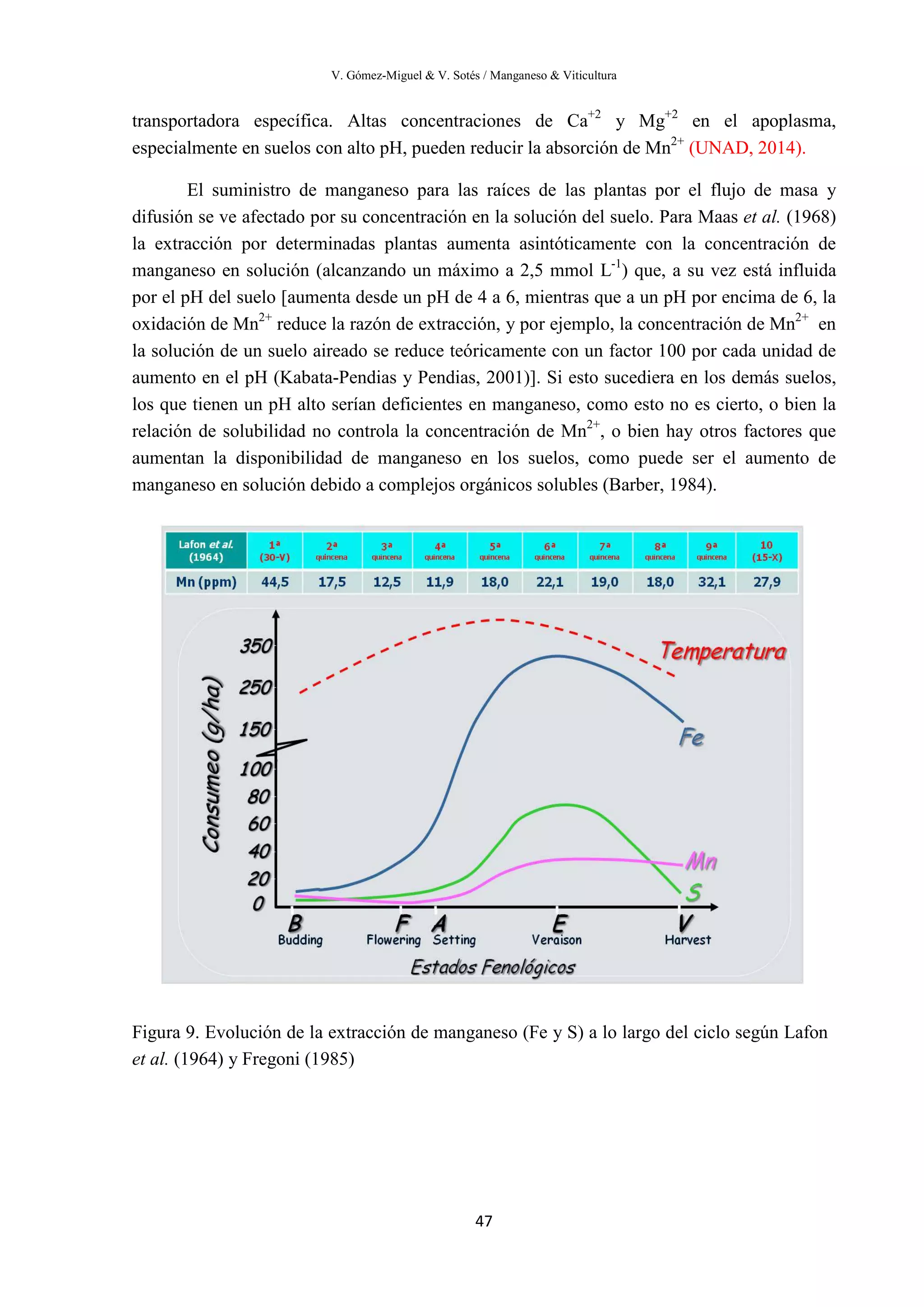 V. Gómez-Miguel & V. Sotés / Manganeso & Viticultura
47
transportadora específica. Altas concentraciones de Ca+2
y Mg+2
en el apoplasma,
especialmente en suelos con alto pH, pueden reducir la absorción de Mn2+
(UNAD, 2014).
El suministro de manganeso para las raíces de las plantas por el flujo de masa y
difusión se ve afectado por su concentración en la solución del suelo. Para Maas et al. (1968)
la extracción por determinadas plantas aumenta asintóticamente con la concentración de
manganeso en solución (alcanzando un máximo a 2,5 mmol L-1
) que, a su vez está influida
por el pH del suelo [aumenta desde un pH de 4 a 6, mientras que a un pH por encima de 6, la
oxidación de Mn2+
reduce la razón de extracción, y por ejemplo, la concentración de Mn2+
en
la solución de un suelo aireado se reduce teóricamente con un factor 100 por cada unidad de
aumento en el pH (Kabata-Pendias y Pendias, 2001)]. Si esto sucediera en los demás suelos,
los que tienen un pH alto serían deficientes en manganeso, como esto no es cierto, o bien la
relación de solubilidad no controla la concentración de Mn2+
, o bien hay otros factores que
aumentan la disponibilidad de manganeso en los suelos, como puede ser el aumento de
manganeso en solución debido a complejos orgánicos solubles (Barber, 1984).
Figura 9. Evolución de la extracción de manganeso (Fe y S) a lo largo del ciclo según Lafon
et al. (1964) y Fregoni (1985)
 