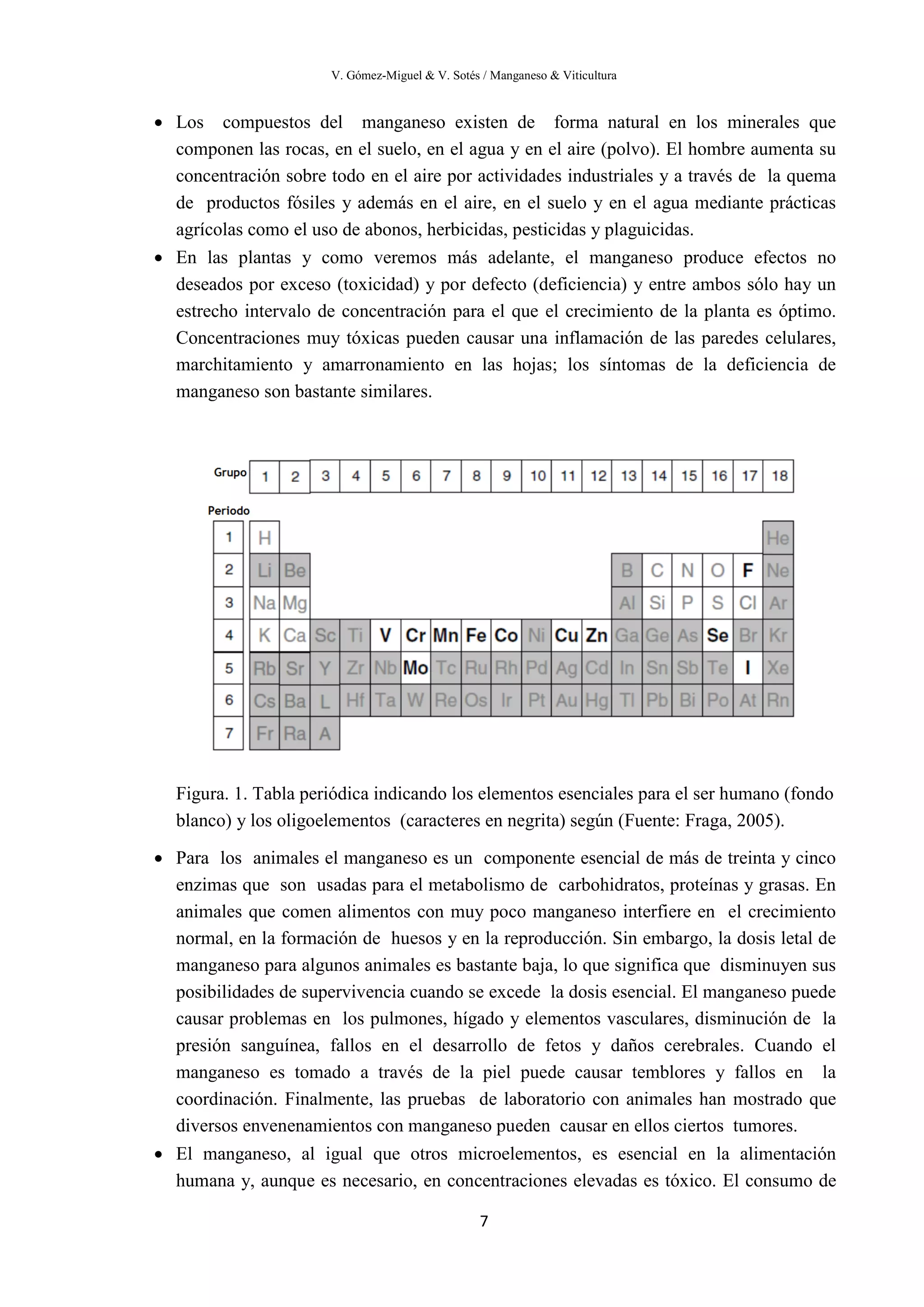V. Gómez-Miguel & V. Sotés / Manganeso & Viticultura
7
• Los compuestos del manganeso existen de forma natural en los minerales que
componen las rocas, en el suelo, en el agua y en el aire (polvo). El hombre aumenta su
concentración sobre todo en el aire por actividades industriales y a través de la quema
de productos fósiles y además en el aire, en el suelo y en el agua mediante prácticas
agrícolas como el uso de abonos, herbicidas, pesticidas y plaguicidas.
• En las plantas y como veremos más adelante, el manganeso produce efectos no
deseados por exceso (toxicidad) y por defecto (deficiencia) y entre ambos sólo hay un
estrecho intervalo de concentración para el que el crecimiento de la planta es óptimo.
Concentraciones muy tóxicas pueden causar una inflamación de las paredes celulares,
marchitamiento y amarronamiento en las hojas; los síntomas de la deficiencia de
manganeso son bastante similares.
Figura. 1. Tabla periódica indicando los elementos esenciales para el ser humano (fondo
blanco) y los oligoelementos (caracteres en negrita) según (Fuente: Fraga, 2005).
• Para los animales el manganeso es un componente esencial de más de treinta y cinco
enzimas que son usadas para el metabolismo de carbohidratos, proteínas y grasas. En
animales que comen alimentos con muy poco manganeso interfiere en el crecimiento
normal, en la formación de huesos y en la reproducción. Sin embargo, la dosis letal de
manganeso para algunos animales es bastante baja, lo que significa que disminuyen sus
posibilidades de supervivencia cuando se excede la dosis esencial. El manganeso puede
causar problemas en los pulmones, hígado y elementos vasculares, disminución de la
presión sanguínea, fallos en el desarrollo de fetos y daños cerebrales. Cuando el
manganeso es tomado a través de la piel puede causar temblores y fallos en la
coordinación. Finalmente, las pruebas de laboratorio con animales han mostrado que
diversos envenenamientos con manganeso pueden causar en ellos ciertos tumores.
• El manganeso, al igual que otros microelementos, es esencial en la alimentación
humana y, aunque es necesario, en concentraciones elevadas es tóxico. El consumo de
 