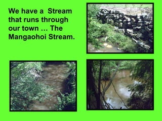 We have a  Stream that runs through our town … The Mangaohoi Stream. 