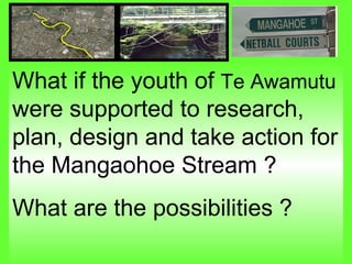 What if the youth of  Te Awamutu  were supported to research, plan, design and take action for the Mangaohoe Stream ?  What are the possibilities ? 