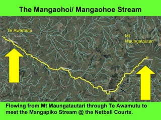 Te Awamutu Mt Maungatautari Flowing from Mt Maungatautari through Te Awamutu to meet the Mangapiko Stream @ the Netball Courts. The Mangaohoi/ Mangaohoe Stream 