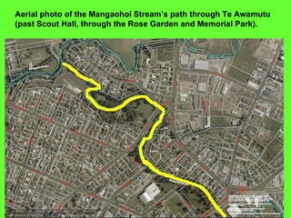 Aerial photo of the Mangaohoi Stream’s path through Te Awamutu (past Scout Hall, through the Rose Garden and Memorial Park). 
