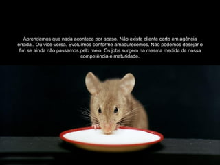 Aprendemos que nada acontece por acaso. Não existe cliente certo em agência
errada.. Ou vice-versa. Evoluímos conforme amadurecemos. Não podemos desejar o
 fim se ainda não passamos pelo meio. Os jobs surgem na mesma medida da nossa
                             competência e maturidade.
 