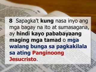8 Sapagka't kung nasa inyo ang
mga bagay na ito at sumasagana,
ay hindi kayo pababayaang
maging mga tamad o mga
walang bunga sa pagkakilala
sa ating Panginoong
Jesucristo.
 