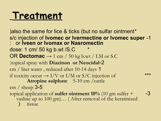 Treatment
*also the same for lice & ticks (but no sulfar ointment(
1-s/c injection of Ivomec or Ivermectine or Ivomec super
or Iveen or Ivomax or Nasromectin:
*dose: 1 cm/ 50 kg b.wt /S.C
OR Dectomac → 1 cm / 50 kg b.wt / I.M or S.C
2-topical spray with Diazinon or Neocidal:
1cm / liter water , reduced after 10-14 days
***if toxicity occur → I/V or I/M or S/C injection of
Atropine sulphate 5-10 cm /cattle
3-5cm / sheep
3-topical application of sulfer ointment 10% (10 gm sulfer +
vasline up to 100 gm)… ( After removal of the keratinized
tissue(
 