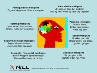 Språklig intelligens Lese, skrive, høre historier,  fortelle, huske navn og steder Logisk/matematisk intelligens Regne, eksperimentere,  undersøke, løse oppgaver Romlig /Visuell intelligens Tegne – skape – se bilder – løse gåter Kroppslig / Kinestetisk intelligens Bruker kroppen, spiller skuespill flink med hendene, tar på ting Musikalsk intelligens Synge, lytte, spille  oppfatte lyder, har rytme Naturalistisk intelligens Ut i naturen, liker dyr, studerer  vind og vær, ordne og sette ting i system Sosial intelligens Snakker med folk,  forstår andre, like å lede, jobber i gruppe Personlig intelligens Arbeide alene,  tenker over tingene,  være seg selv 