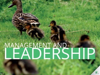 Management and Leadership
 