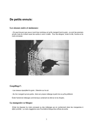 7
De petits ennuis:
Les oiseaux noirs et moineaux:
- On peut trouver que ceux-ci sont trop nombreux et qu'ils mangent tout le grain...ce sont les premiers
arrivés mais ils invitent aussi les autres à venir à table. Pour les éloigner, éviter le blé, l'avoine et le
maïs concassé.
Gaspillage?:
- Les oiseaux éparpillent le grain...l'étendre sur le sol.
- Ils n'en mangent qu'une partie...faire son propre mélange à partir de ce qu'ils préfèrent.
Éviter l'achat de mélanges commerciaux contenant du blé dur et du Sorgho.
La mangeoire se bloque:
-Éviter de disposer du maïs concassé ou des mélanges qui en contiennent dans les mangeoires à
débit contrôlé. Le maïs s'agglutine avec l'humidité et bloque les orifices de sortie.
 