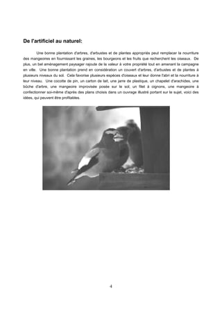 4
De l'artificiel au naturel:
Une bonne plantation d'arbres, d'arbustes et de plantes appropriés peut remplacer la nourriture
des mangeoires en fournissant les graines, les bourgeons et les fruits que recherchent les oiseaux. De
plus, un bel aménagement paysager rajoute de la valeur à votre propriété tout en amenant la campagne
en ville. Une bonne plantation prend en considération un couvert d'arbres, d'arbustes et de plantes à
plusieurs niveaux du sol. Cela favorise plusieurs espèces d'oiseaux et leur donne l'abri et la nourriture à
leur niveau. Une cocotte de pin, un carton de lait, une jarre de plastique, un chapelet d'arachides, une
bûche d'arbre, une mangeoire improvisée posée sur le sol, un filet à oignons, une mangeoire à
confectionner soi-même d'après des plans choisis dans un ouvrage illustré portant sur le sujet, voici des
idées, qui peuvent être profitables.
 