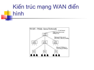 Kiến trúc mạng WAN điển
hình
 