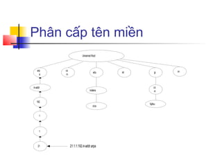 Phân cấp tên miền
Unnamed Root
co
m
edu jp
arp
a
in-addr
cica
indiana
192
1
1
21
int
co
m
21.1.1.192.in-addr.arpa
vn
fujitsu
 
