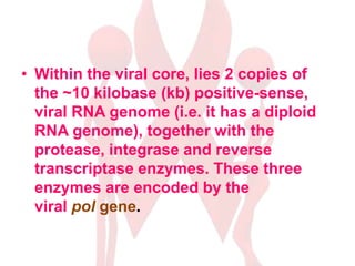 • Within the viral core, lies 2 copies of
the ~10 kilobase (kb) positive-sense,
viral RNA genome (i.e. it has a diploid
RNA genome), together with the
protease, integrase and reverse
transcriptase enzymes. These three
enzymes are encoded by the
viral pol gene.
 