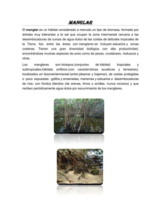 Manglar.
El manglar es un hábitat considerado a menudo un tipo de biomasa, formado por
árboles muy tolerantes a la sal que ocupan la zona intermareal cercana a las
desembocaduras de cursos de agua dulce de las costas de latitudes tropicales de
la Tierra. Así, entre las áreas con manglares se incluyen estuarios y zonas
costeras. Tienen una gran diversidad biológica con alta productividad,
encontrándose muchas especies de aves como de peces, crustáceos, moluscos y
otras.

Los     manglares        son biotopos (conjuntos      de hábitat)      tropicales     y
subtropicales,hábitats   anfibios (con   características   acuáticas    y   terrestres),
localizados en lazonaintermareal (entre pleamar y bajamar), de costas protegidas
o poco expuestas -golfos y ensenadas, marismas y estuarios o desembocaduras
de ríos- con fondos blandos (de arenas, limos o arcillas, nunca rocosos) y que
reciben periódicamente agua dulce por escurrimiento de los manglares.
 