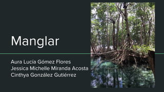 Manglar
Aura Lucía Gómez Flores
Jessica Michelle Miranda Acosta
Cinthya González Gutiérrez
 