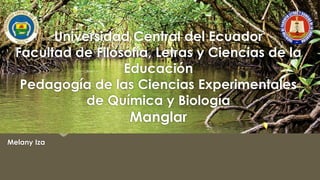 Melany Iza
Universidad Central del Ecuador
Facultad de Filosofía, Letras y Ciencias de la
Educación
Pedagogía de las Ciencias Experimentales
de Química y Biología
Manglar
 