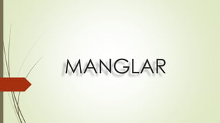 MANGLAR
 