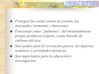    Protegen las costas contra la erosión, las
    marejadas, tormentas y huracanes.
   Funcionan como “pulmones” del medioambiente
    porque producen oxígeno y usan bióxido de
    carbono del aire.
   Son usados para la recreación pasiva, los deportes
    acuáticos y actividades turísticas.
   Son importantes para la educación e
    investigación.
 