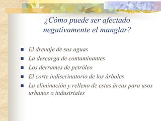¿Cómo puede ser afectado
         negativamente el manglar?

   El drenaje de sus aguas
   La descarga de contaminantes
   Los derrames de petróleo
   El corte indiscrinatorio de los árboles
   La eliminación y relleno de estas áreas para usos
    urbanos o industriales
 