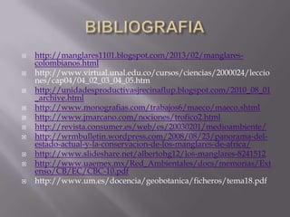    http://manglares1101.blogspot.com/2013/02/manglares-
    colombianos.html
   http://www.virtual.unal.edu.co/cursos/ciencias/2000024/leccio
    nes/cap04/04_02_03_04_05.htm
   http://unidadesproductivasjrecinaflup.blogspot.com/2010_08_01
    _archive.html
   http://www.monografias.com/trabajos6/maeco/maeco.shtml
   http://www.jmarcano.com/nociones/trofico2.html
   http://revista.consumer.es/web/es/20030201/medioambiente/
   http://wrmbulletin.wordpress.com/2008/08/23/panorama-del-
    estado-actual-y-la-conservacion-de-los-manglares-de-africa/
   http://www.slideshare.net/albertohg12/los-manglares-8241512
   http://www.uaemex.mx/Red_Ambientales/docs/memorias/Ext
    enso/CB/EC/CBC-10.pdf
   http://www.um.es/docencia/geobotanica/ficheros/tema18.pdf
 