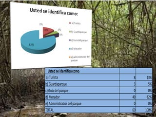 Ustedseidentificacomo:
a) Turista 8 13%
b) Guardaparque 3 5%
c) Guíadel parque 0 0%
d) Morador 49 82%
e) Administradordel parque 0 0%
TOTAL 60 100%
 