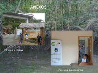 ANEXOS.
Entrada a la reserva
Encuesta a guarda parque
 